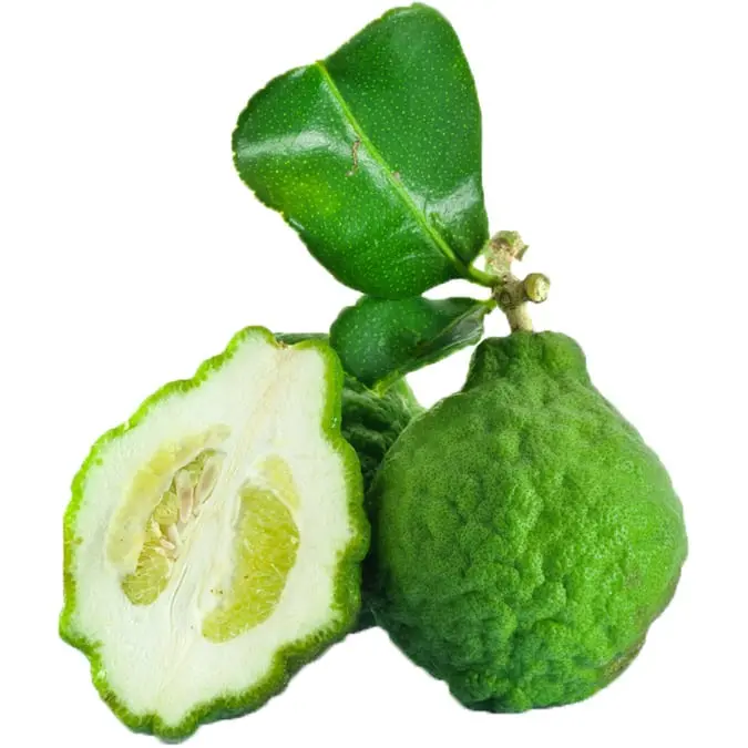 Bergamot