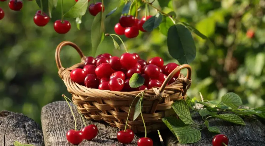 Cherries