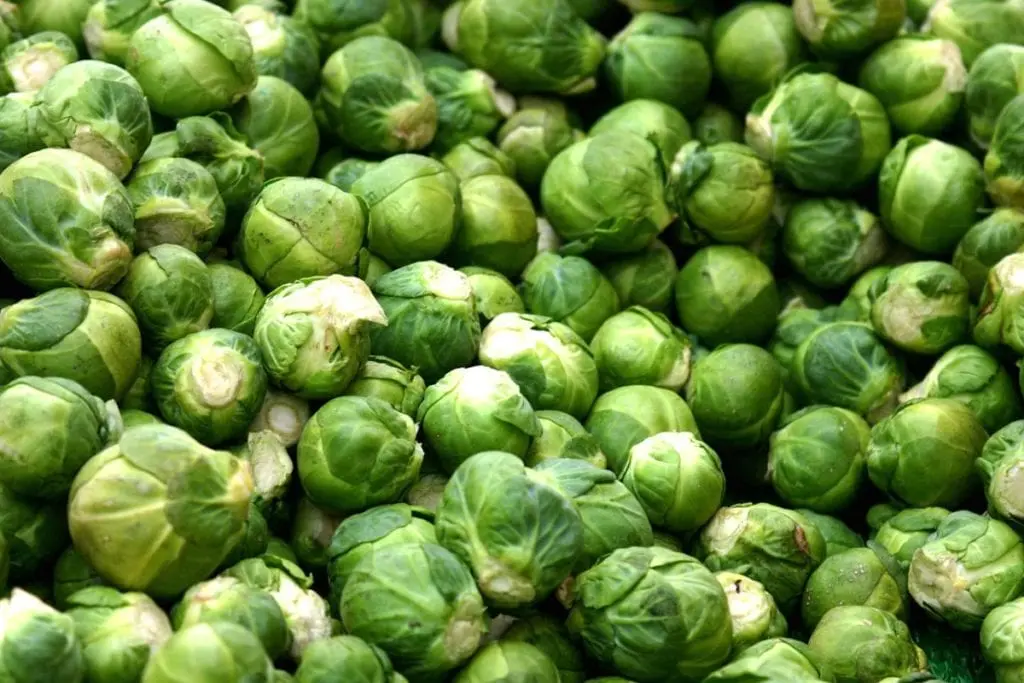 Brussels sprouts