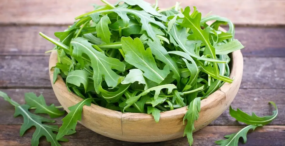 Arugula