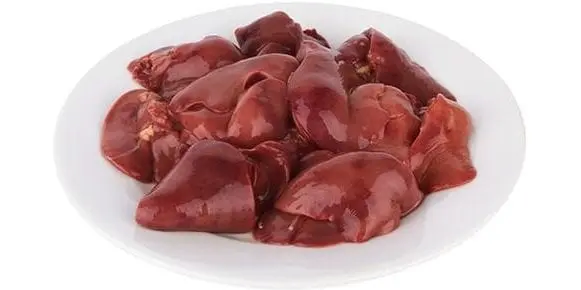 Liver