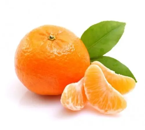 Tangerine &#8211; description of the fruit. Benefits and harm to human health