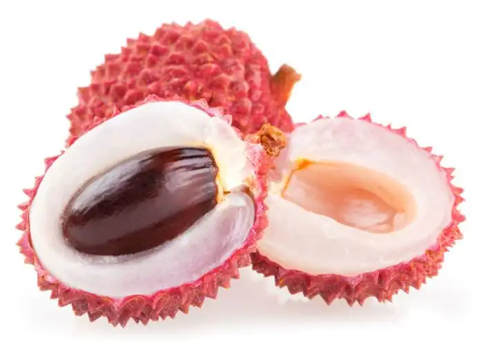 Lychee