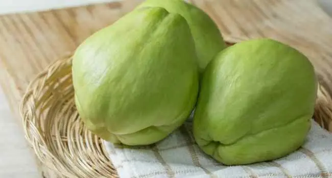 Chayote