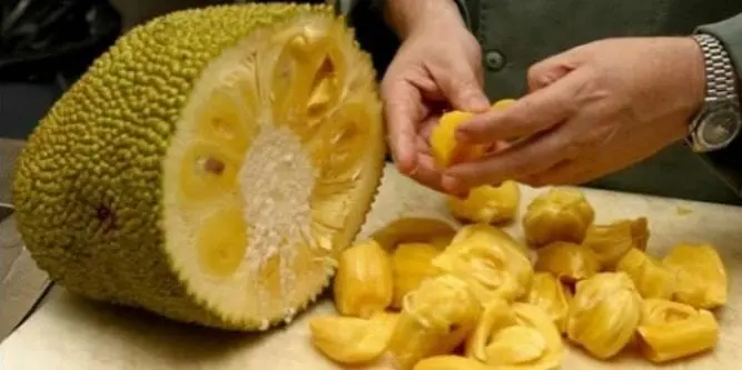 Jackfruit