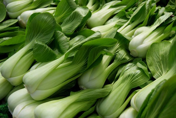 Pak-choy cabbage