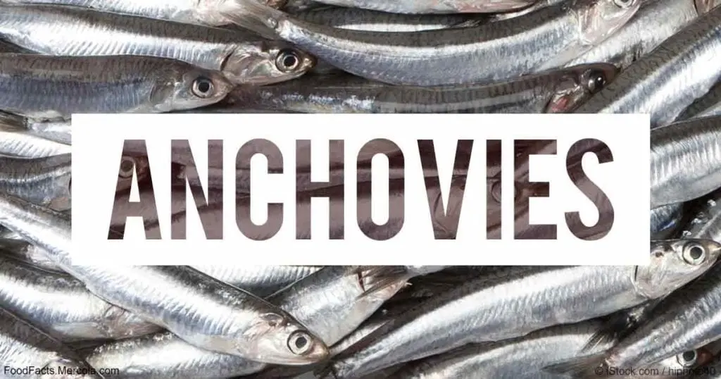 Anchovies