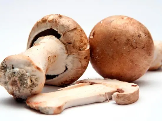 Champignon