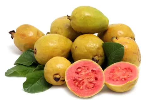 Guava