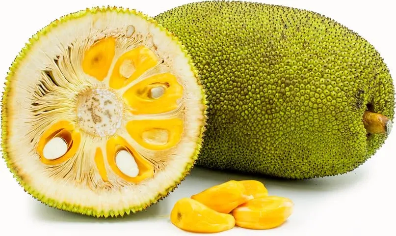 Jackfruit