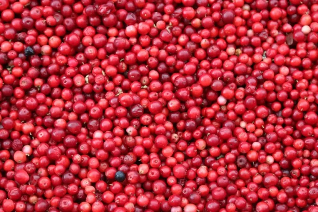 Cranberries