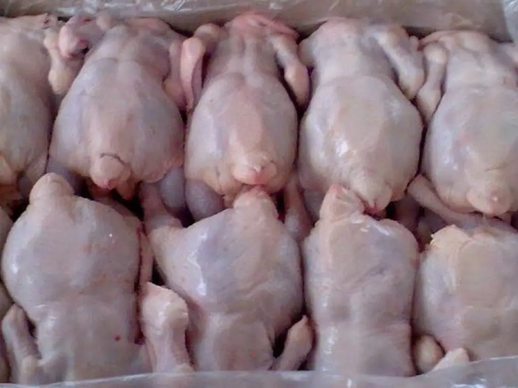 Chicken &#8211; a description of the meat. Benefits and harm to human health