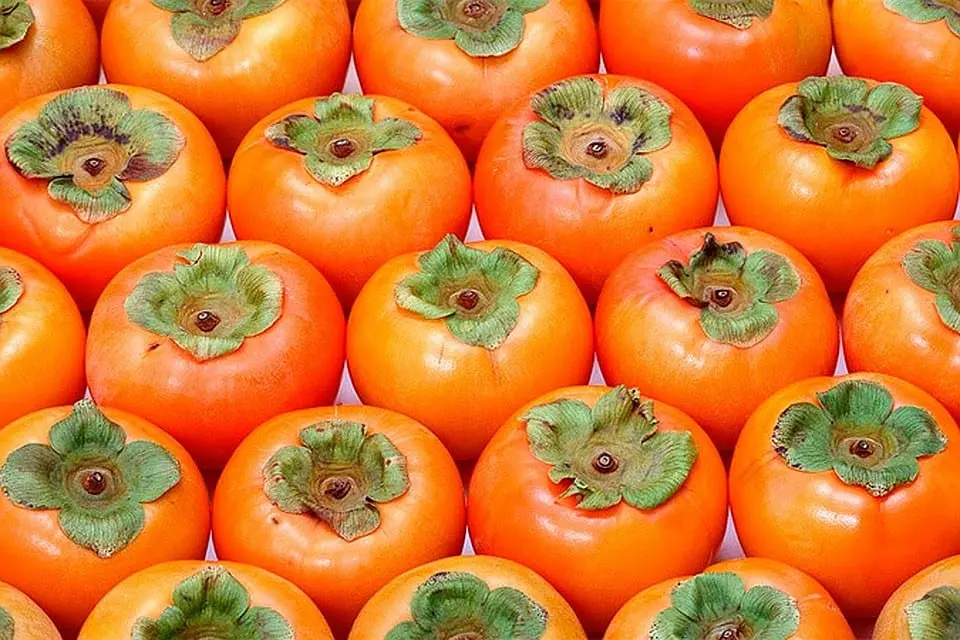 Persimmon