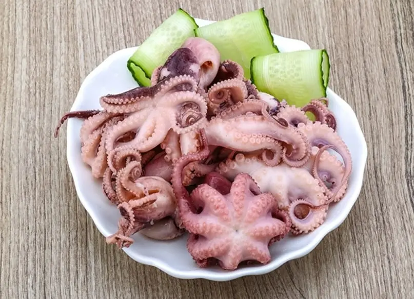 Octopus