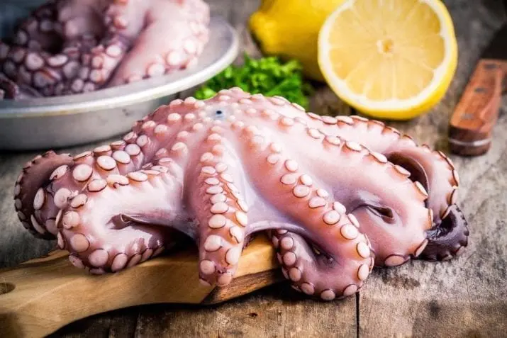 Octopus