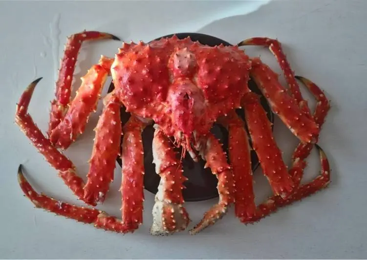 Crab