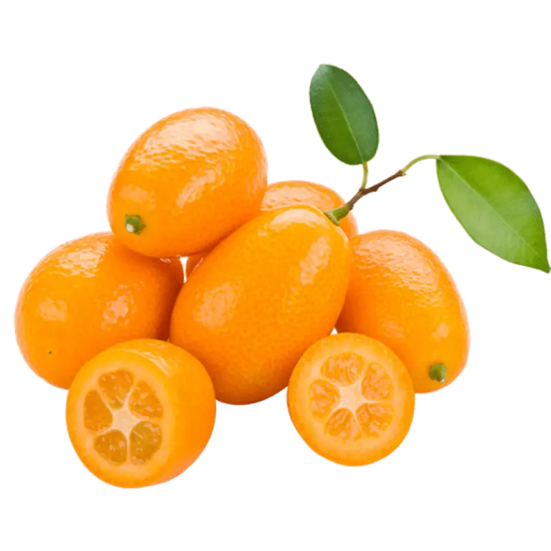 Kumquat