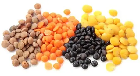 Lentils