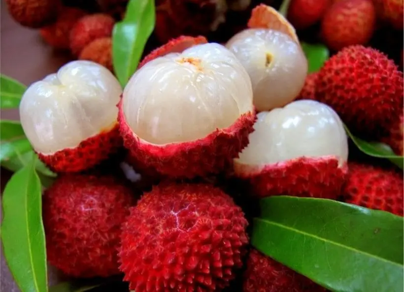 Lychee