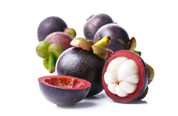 Mangosteen