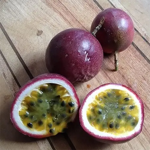 Passion fruit