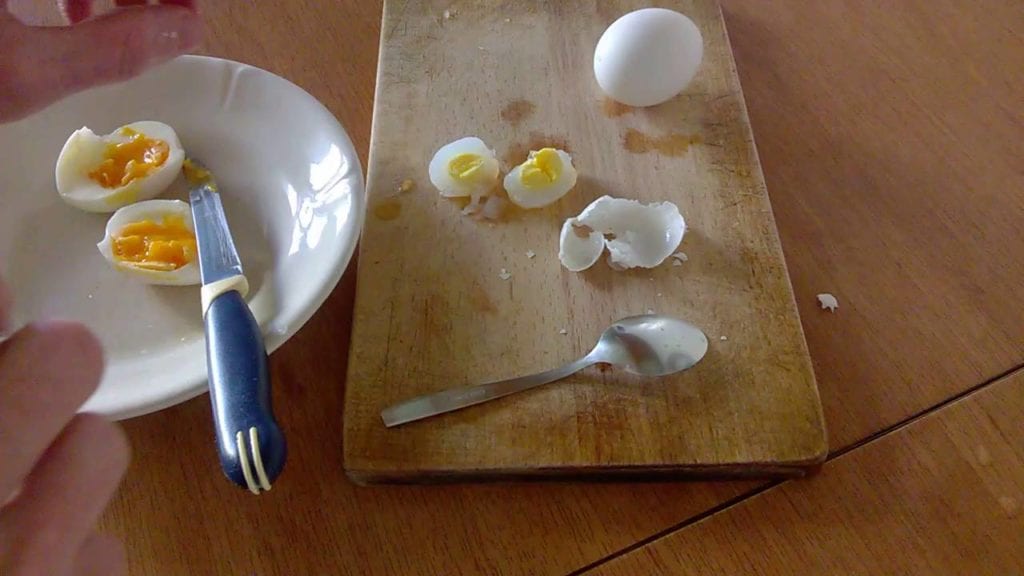 boiled pigeon egg