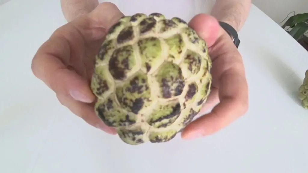 Cherimoya