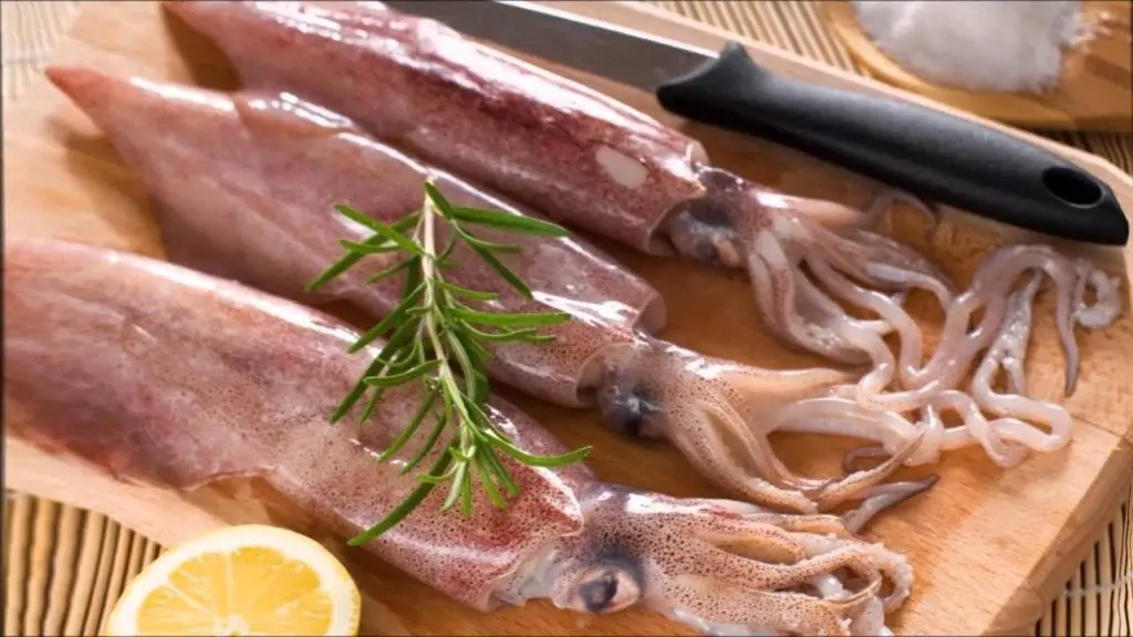 Squid