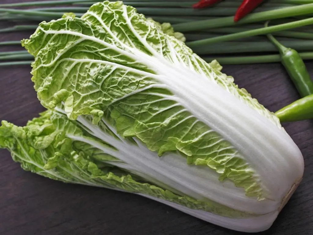 Napa cabbage