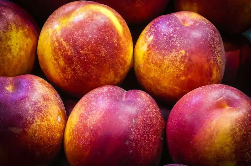 Nectarine