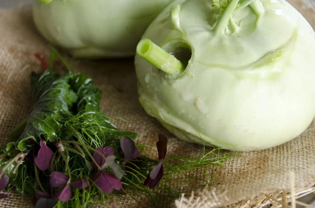 Kohlrabi cabbage