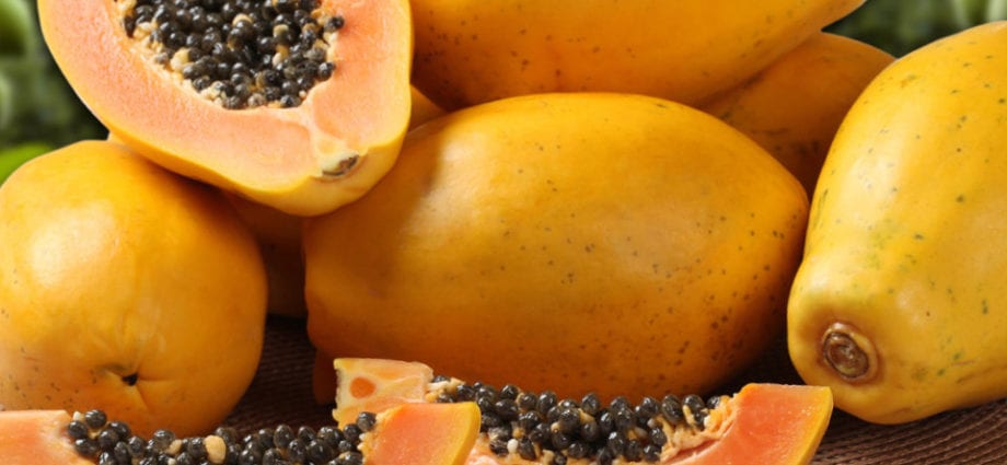 Papaya - kaloriinnehåll och kemisk sammansättning