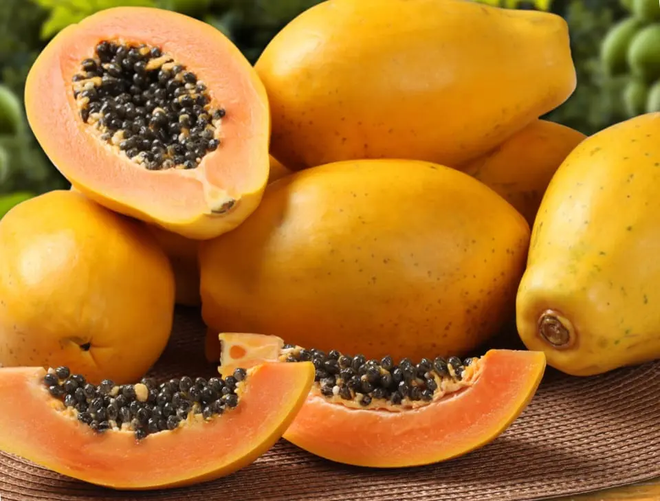 Papaya