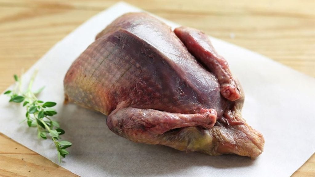 Porumbel – Mâncare sănătoasă lângă