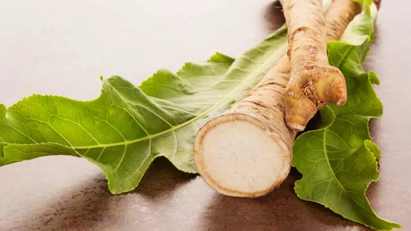 Horseradish