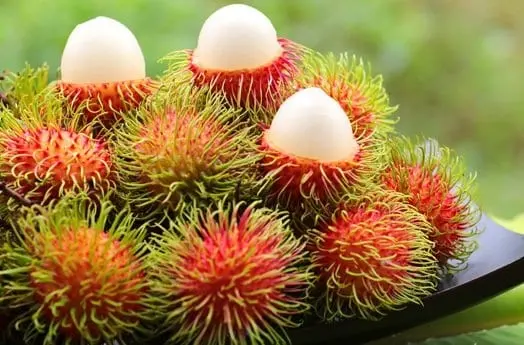 Rambutan