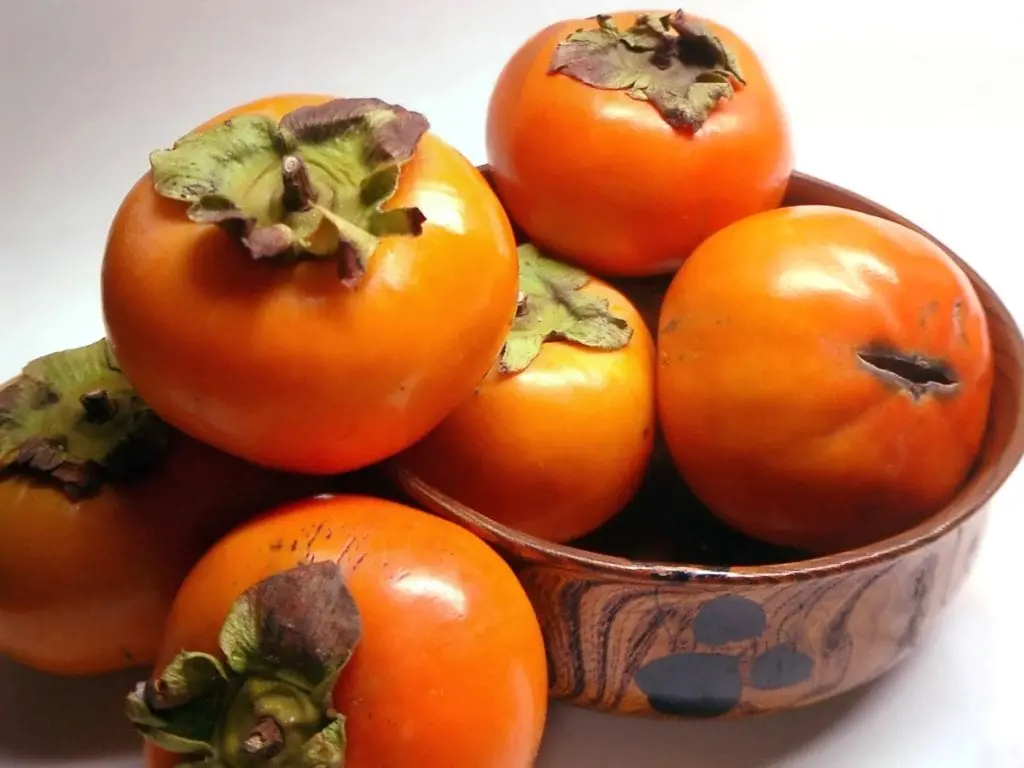 Persimmon