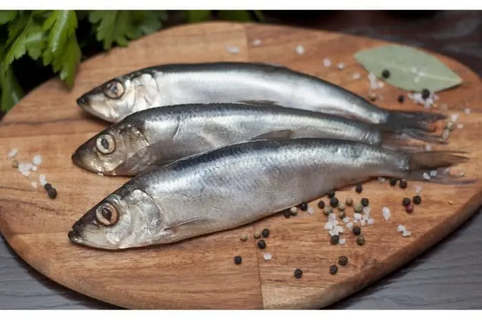 Baltic herring