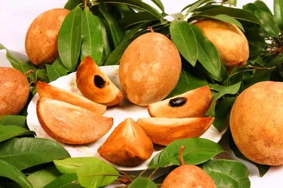 Sapodilla