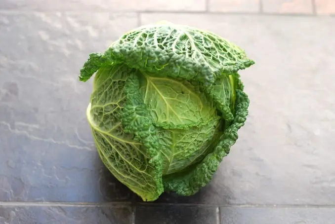 Savoy cabbage