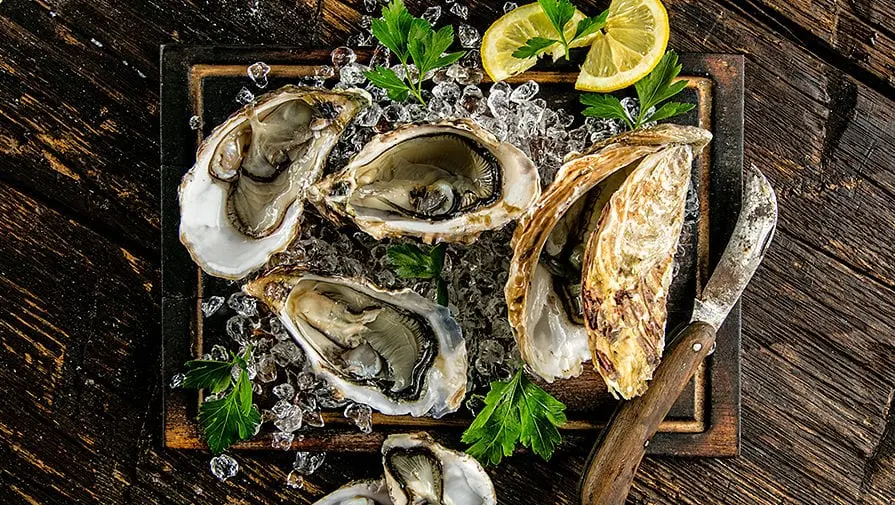 Oysters