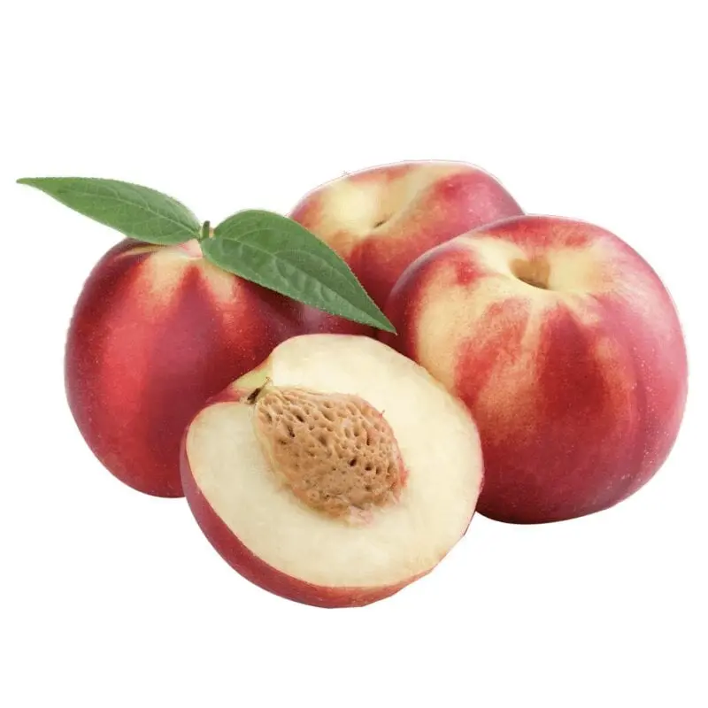 Nectarine