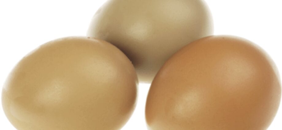 Pheasant eggs
