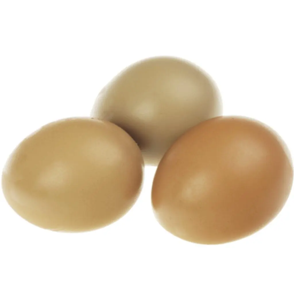 Pheasant eggs