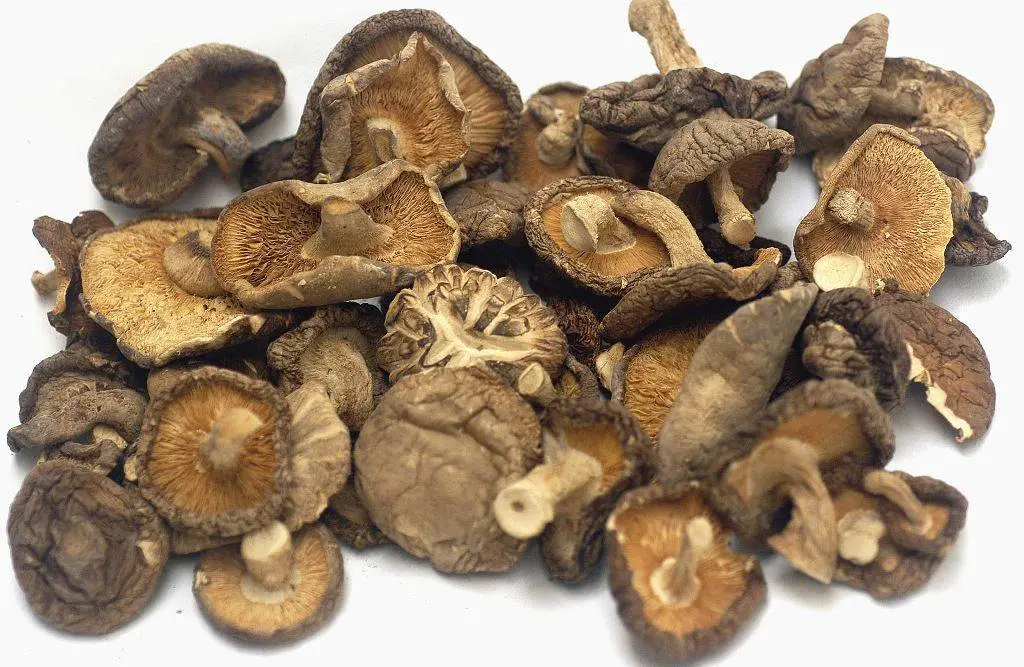 Shiitake