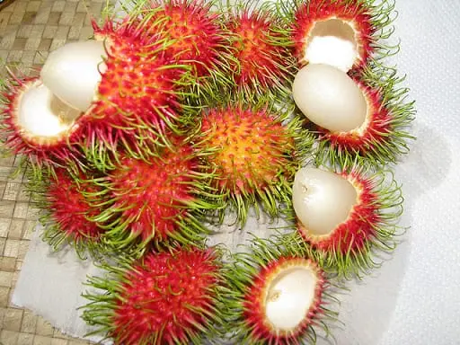 Rambutan