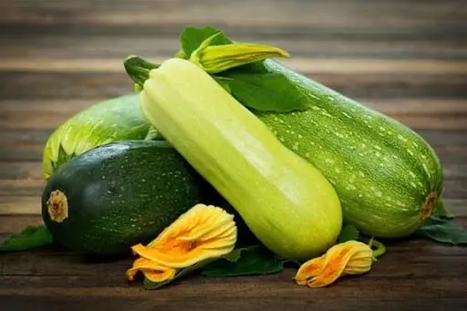 Zucchini