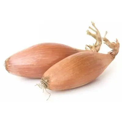 Shallot