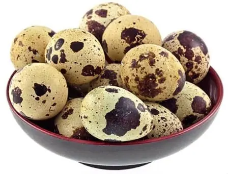 Quail eggs