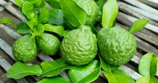 Bergamot